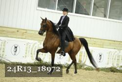 24R13_18972 thumbnail