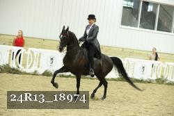 24R13_18974 thumbnail