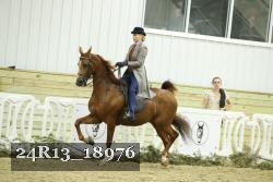 24R13_18976 thumbnail