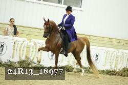 24R13_18977 thumbnail