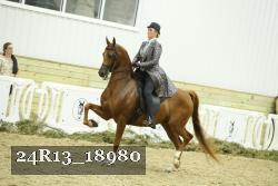 24R13_18980 thumbnail