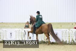 24R13_18981 thumbnail