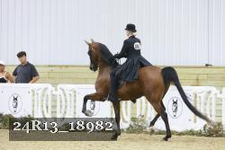 24R13_18982 thumbnail