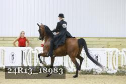 24R13_18983 thumbnail