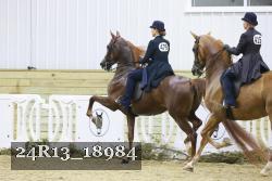 24R13_18984 thumbnail