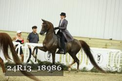 24R13_18986 thumbnail