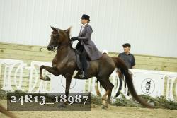 24R13_18987 thumbnail