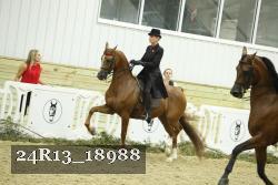 24R13_18988 thumbnail