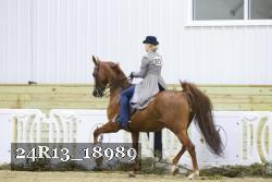 24R13_18989 thumbnail