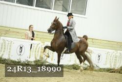 24R13_18990 thumbnail