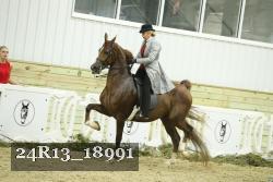 24R13_18991 thumbnail