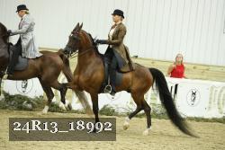 24R13_18992 thumbnail