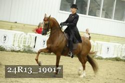 24R13_19017 thumbnail
