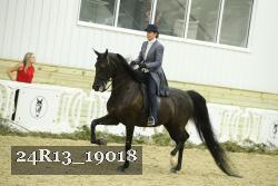 24R13_19018 thumbnail