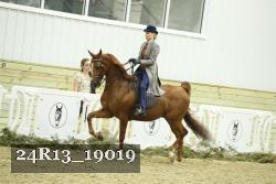 24R13_19019 thumbnail