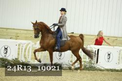 24R13_19021 thumbnail