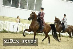 24R13_19022 thumbnail