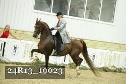 24R13_19023 thumbnail