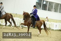 24R13_19024 thumbnail