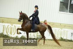 24R13_19027 thumbnail