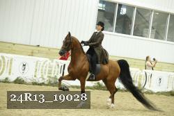 24R13_19028 thumbnail