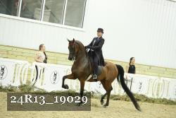 24R13_19029 thumbnail