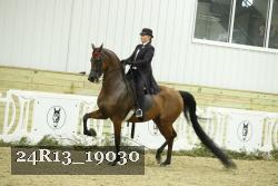 24R13_19030 thumbnail