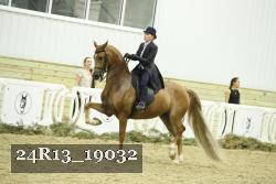24R13_19032 thumbnail