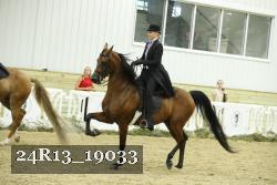 24R13_19033 thumbnail
