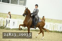 24R13_19035 thumbnail