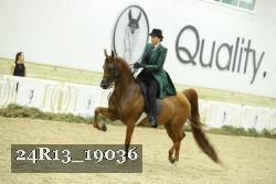 24R13_19036 thumbnail
