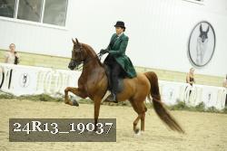 24R13_19037 thumbnail
