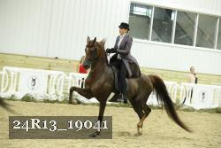 24R13_19041 thumbnail
