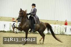 24R13_19042 thumbnail