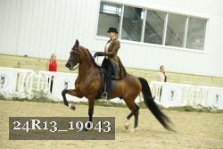 24R13_19043 thumbnail