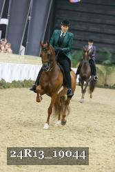 24R13_19044 thumbnail