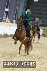 24R13_19045 thumbnail