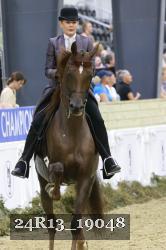 24R13_19048 thumbnail
