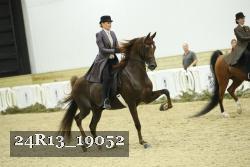 24R13_19052 thumbnail