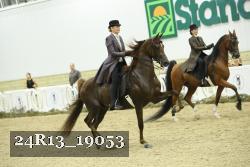 24R13_19053 thumbnail