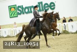 24R13_19054 thumbnail