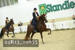 24R13_19055 thumbnail