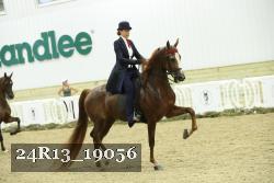 24R13_19056 thumbnail