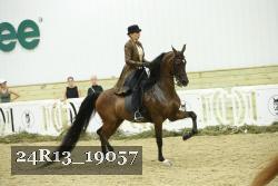 24R13_19057 thumbnail