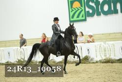 24R13_19058 thumbnail
