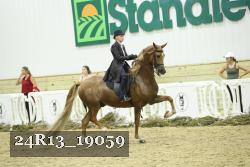24R13_19059 thumbnail