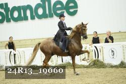 24R13_19060 thumbnail