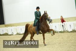 24R13_19061 thumbnail