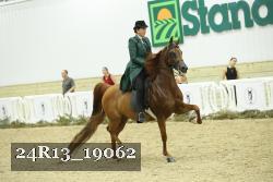 24R13_19062 thumbnail