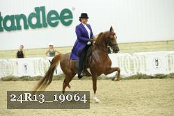 24R13_19064 thumbnail
